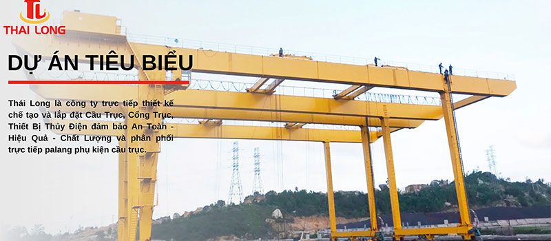 Cầu Trục Thái Long