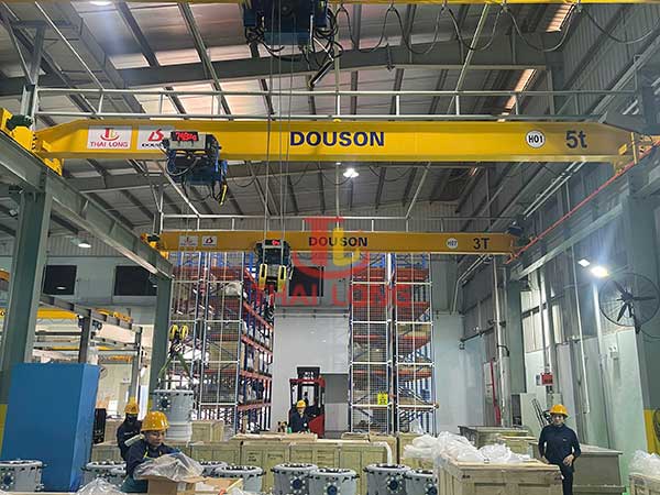cầu trục 5 tấn douson 1